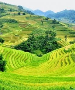 Tour Hà Giang 5 ngày 4 đêm